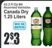 Key Food Canada Dry offer
