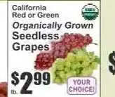 Key Food California Red or Green Organically Grown Seedless Grapes offer