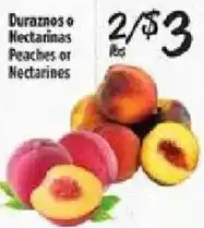 El Super Peaches or Nectarines offer