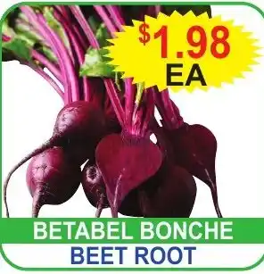 Betabel Bonche Beet Root