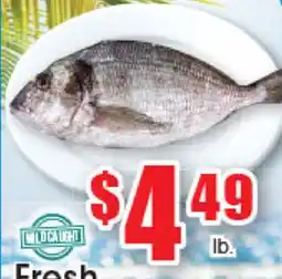 Supremo Foods Inc Fresh offer