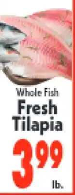 Marino's Supermarket Fresh Tilapia offer
