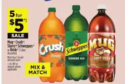 Dollar General Mug , Crush , Starry , Schweppes or Brisk offer
