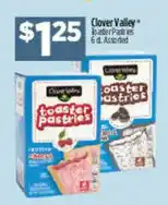 Dollar General Clover Valley toaster pastries offer