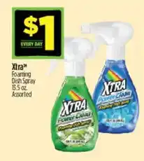 Dollar General Xtra Foaming Dish Spray offer
