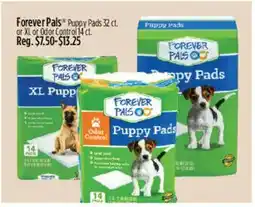 Dollar General Forever Pals Puppy Pads offer