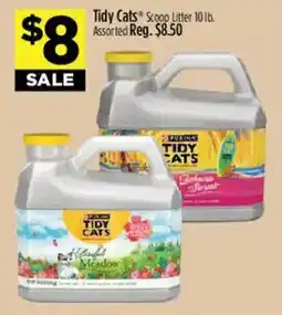 Dollar General Tidy Cats Scoop Litter offer