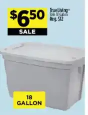 Dollar General TrueLiving tote offer