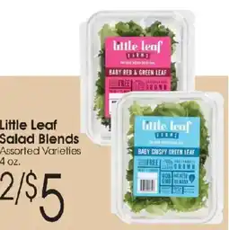 Family Fare Little Leaf Salad Blends offer