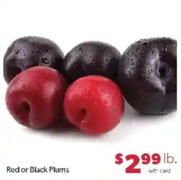 Family Fare Red or Black Plums offer