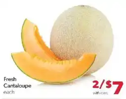 Family Fare Fresh Cantaloupe offer