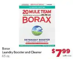 Family Fare 20 mule team borax laundry booster and cleaner offer