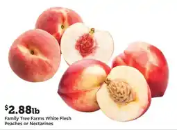 Fareway Family Tree Farms White Flesh Peaches or Nectarines offer