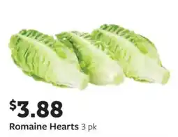 Fareway Romaine Hearts offer