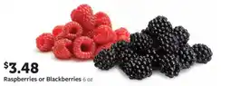 Fareway Raspberries or Blackberries offer