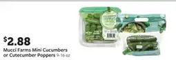 Fareway Mucci Farms Mini Cucumbers or Cute Cucumber Poppers offer