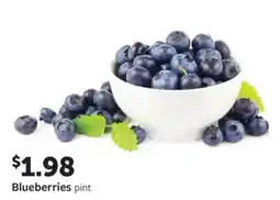 Fareway Blueberries offer
