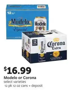 Fareway Modelo or Corona offer
