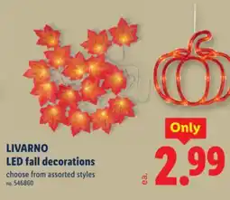 Lidl LIVARNO LED fall decorations offer