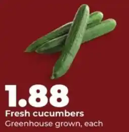 Hy-Vee Fresh cucumbers offer