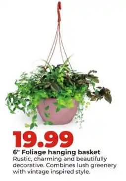 Hy-Vee 6" Foliage hanging basket offer