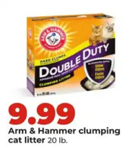Hy-Vee Arm & Hammer clumping cat litter offer