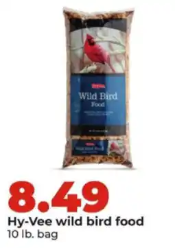 Hy-Vee Hy-Vee wild bird food offer