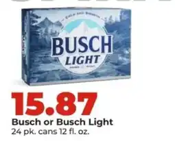 Hy-Vee Busch or Busch Light offer