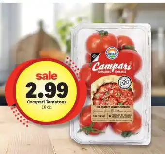 Campari Tomatoes