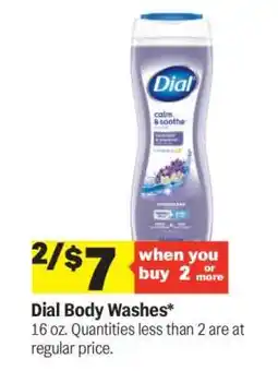 Meijer Dial Body Washes offer