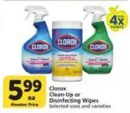 Pavilions Clorox Clean-Up or Disinfecting Wipes offer