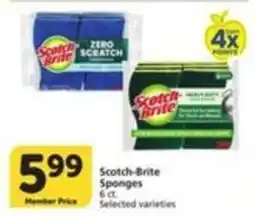 Pavilions Scotch-Brite Sponges offer