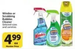 Pavilions Windex or Scrubbing Bubbles Cleaner offer