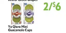 Homeland Market Yo Qiero Mini Guacamole Cups offer