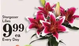Pavilions Stargazer Lilies offer