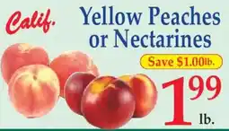 Market Basket Calif. Yellow Peaches or Nectarines offer
