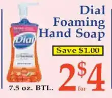 Market Basket Dial Foaming Hand Soap offer