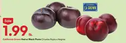 Stater Bros California Grown Red or Black Plums offer