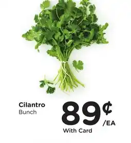 Ralphs Cilantro offer