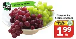 Albertsons Green or Red Seedless Grapes offer