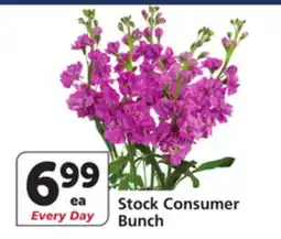 Albertsons Stock Consumer Bunch offer