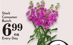 Pavilions Stock Consumer Bunch offer