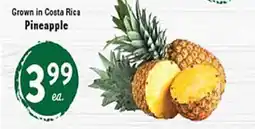 Rio Valley Market Pineapple offer