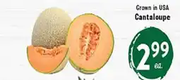 Rio Valley Market Cantaloupe offer