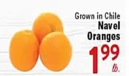 Rio Valley Market Grown in Chile Navel Oranges offer