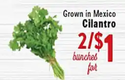 Rio Valley Market Cilantro offer