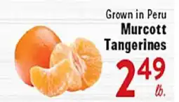 Rio Valley Market Murcott Tangerines offer