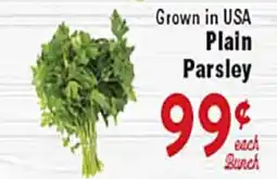 Rio Valley Market Grown in USA Plain Parsley offer