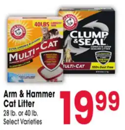 Jewel-Osco Arm & Hammer Cat Litter offer