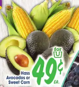 Jewel-Osco Hass Avocados or Sweet Corn offer